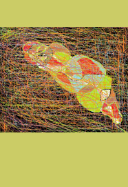 Triyanto Triwikromo: Metamorkafka